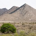 14 Landscape